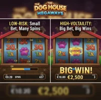 Best betting strategy for The Dog House Megaways: low-risk vs high-volatility cycles